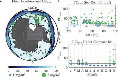 Evidence of phytoplankton blooms under Antarctic sea ice